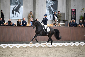 Randbøl/DEN: Blue Hors Santiano im Finale vierter