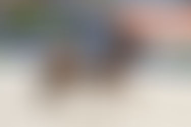 Aachen: La Vie Fourth