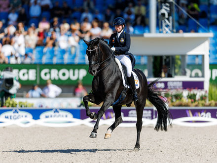 Jagerbomb und Navarro halten ihre Plätze in der FEI-Weltrangliste