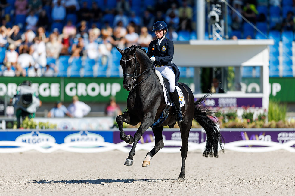 Navarro. Photo: www.sportfotos-lafrentz.de
