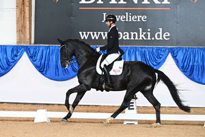 Stadl Paura/AUT: Platz zwei für Fosbury OLD