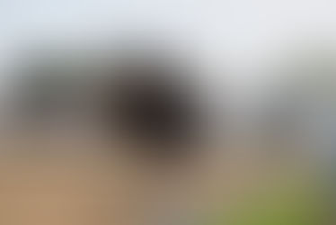 Stadl Paura/AUT: Rang drei für Selected