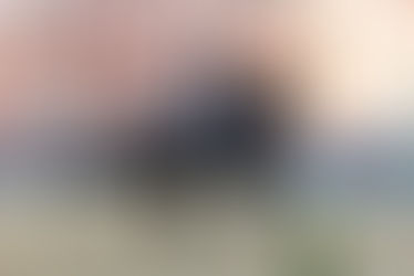 Wiesbaden: Sezuan-Tochter Dritte