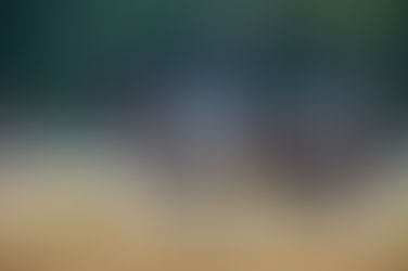 Warendorf-Freckenhorst: Danestos erfolgreich