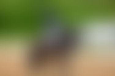 Our winners of the day and further Happy-maker