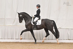 Verden: Skyline to B für Hannover anerkannt