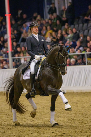 Verden: Bon Courage wins FRH Cup