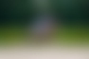 Greven: Victory for Juwel