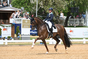 Offspring of Bon Courage and La Vie impress in young horse tests