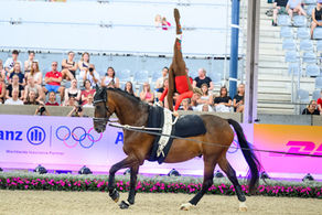 Aachen: Sultan EG Succeeds at the World Championships in the Dressage Arena