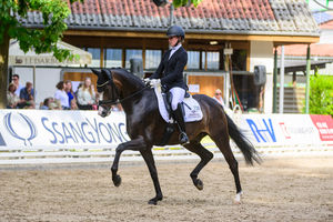 Warendorf: Finalplatzierung von Rocky Rode