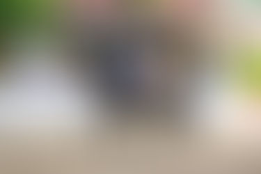 Warendorf: Finalplatzierung von Rocky Rode