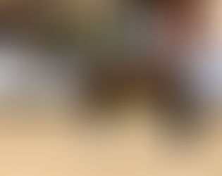 Marbach: Top price highlight by For Romance I OLD