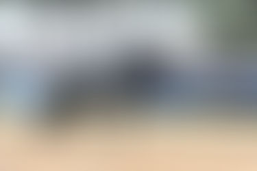 Munich-Riem: Dante wins the Special