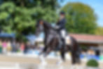 Archivbild . Foto: www.photo.equitaris.de / Wegener