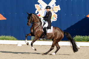 Ankum: Victory for Deltana