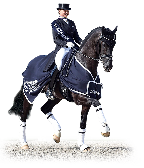 Sezuan__Ermelo_16_TBE_4030__FREI.png
