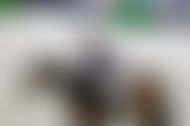 Fort Worth/USA: Jagerbomb unbeatable