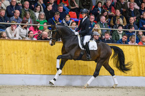 Noch genau eine Woche...