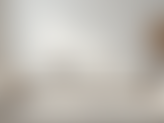 Effortless Style Secrets for a Fresh White Family Room on a Budget