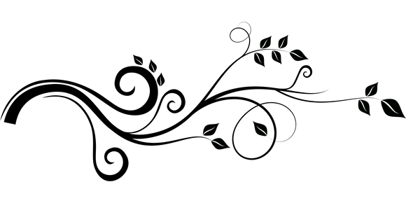 climbing-plant-1948358_1920.png