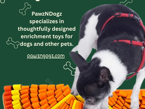 Is Enrichment for Dogs Really Necessary for a Happy Everyday Routine?