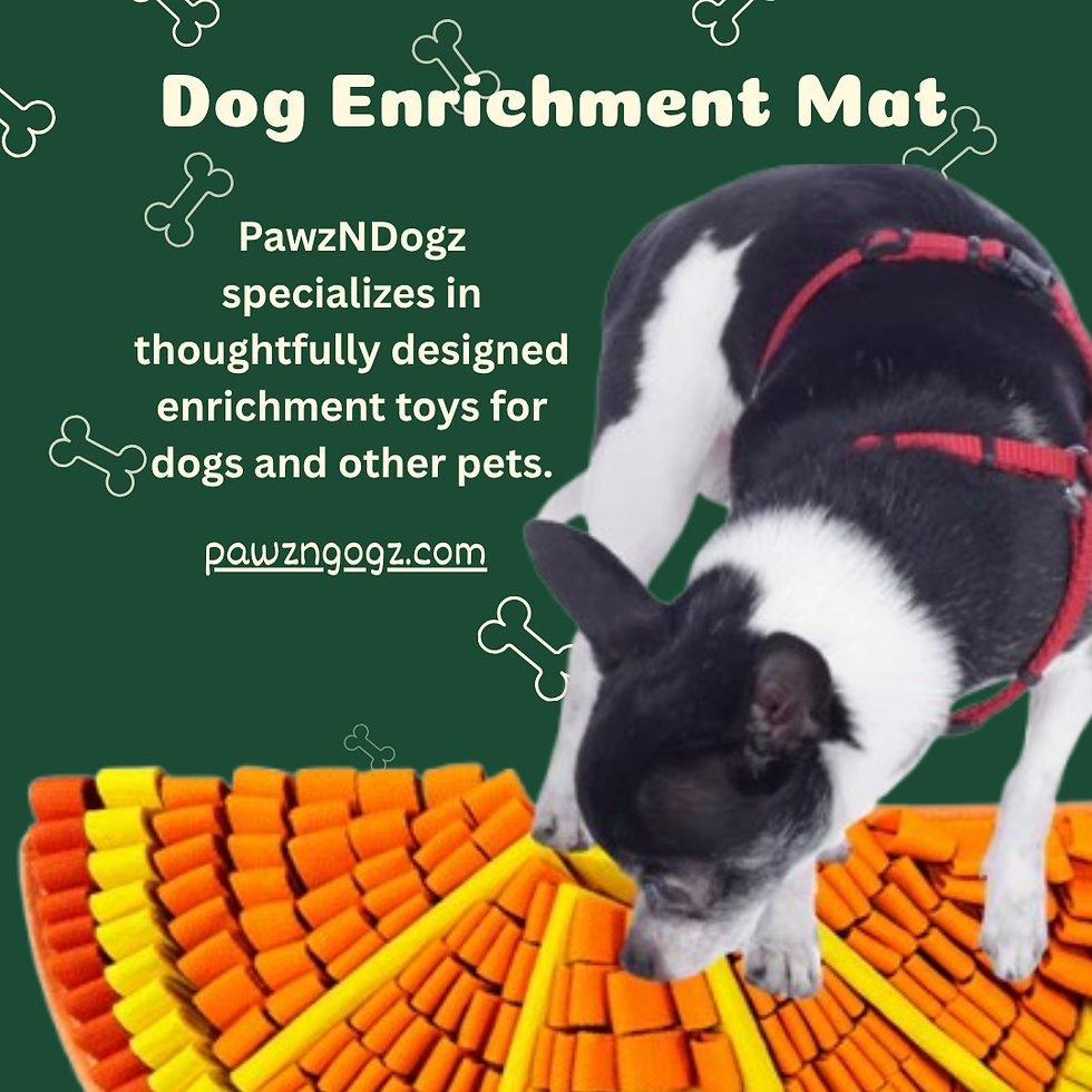 Is Enrichment for Dogs Really Necessary for a Happy Everyday Routine?