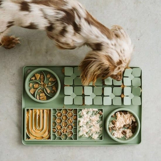 Why Every Pet Parent Needs a Lick Mat for Dogs and a Sniffing Mat for Dogs