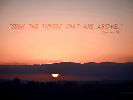 Devotional: November 12, 2021