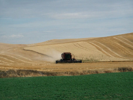 Devotional: August 7, 2020