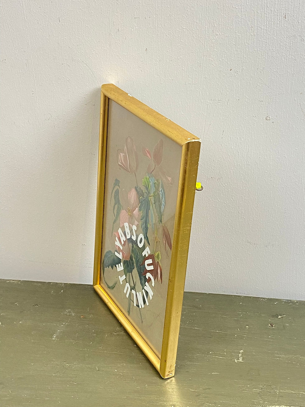 Thumbnail: absofuckinlutely