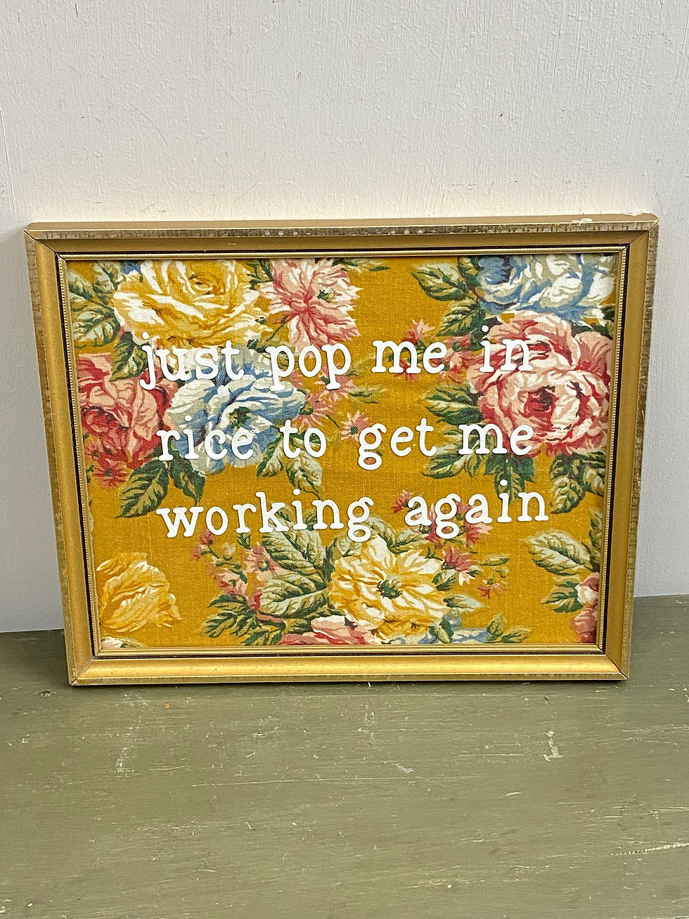 Thumbnail: just pop me in rice to get me working again