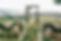 AdobeStock_250227558.jpeg