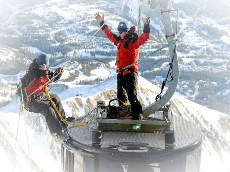 The Ode and the Tree