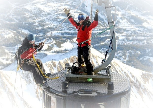 The Ode and the Tree