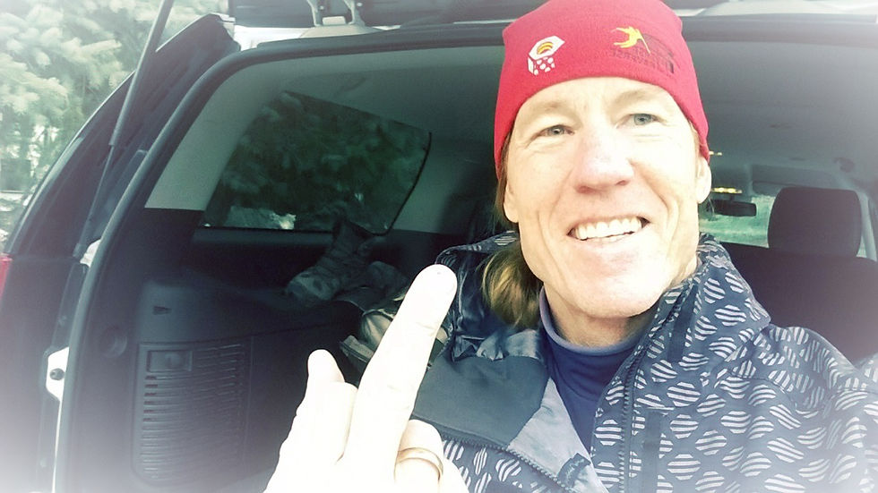 The Bird is the Word