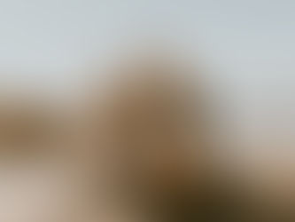 Top 5 Spots in San Francisco for Unique Engagement Photos