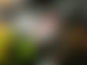 Antrag nicht übermittelt: IT-Probleme beim Landesamt für Einwanderung (LEA) im März 2026