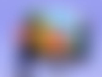 Wie funktioniert die Akteneinsicht beim Landesamt für Einwanderung?