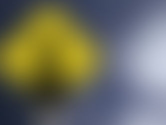 Fragwürdig: Die Welcome Center als untote Strukturen der Erwerbsmigration