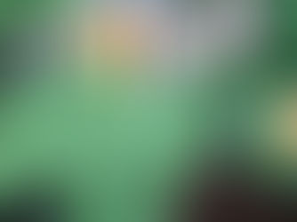 Making of #Ausländerbehördenquartett