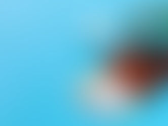 Muss man beim „Ehegattennachzug“ wirklich immer „nachreisen“?