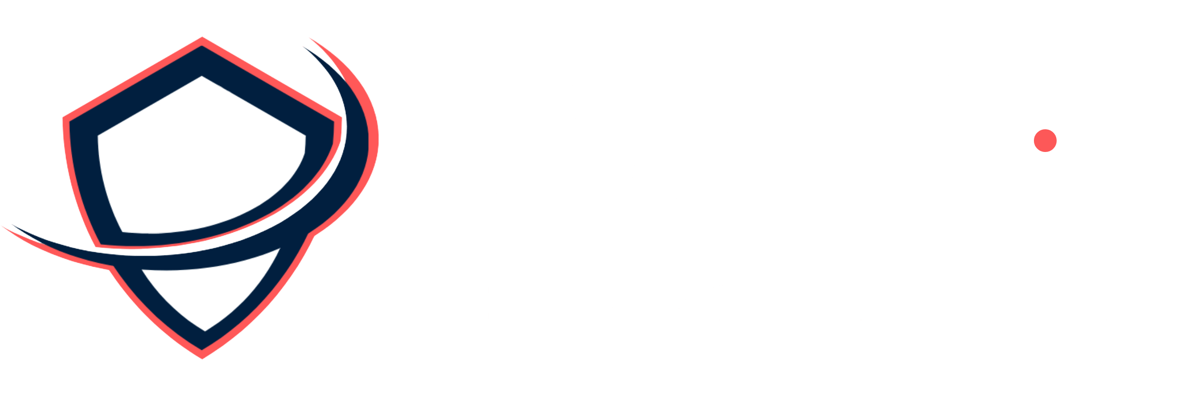 VISAGUARD Logo