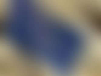 EU Blue Card extension: What advantages do you have as a career starter?