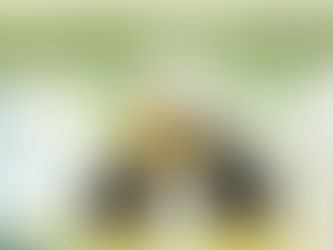 Schon wieder: Klage auf Amtshaftung gegen Ausländerbehörde Stuttgart