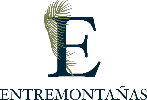 logo-dark.webp