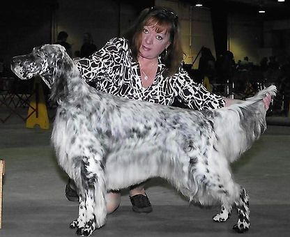 moxie2.jpg