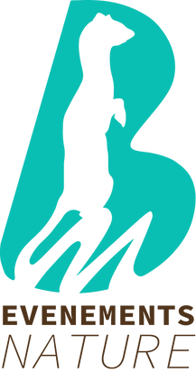 qr code bem sarl nb (2).png