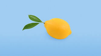 04-Lemon.jpg