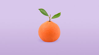 03-Orange.jpg